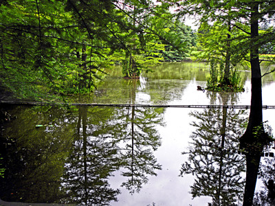 Click here to view at full resolution.