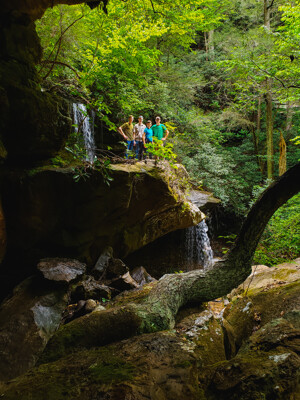 Click here to view at full resolution.