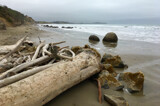 Boulders on The Beach by LynEve, photography->shorelines gallery