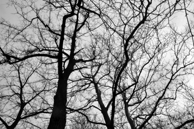 Click here to view at full resolution.