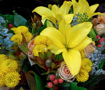 Click here to view at full resolution.