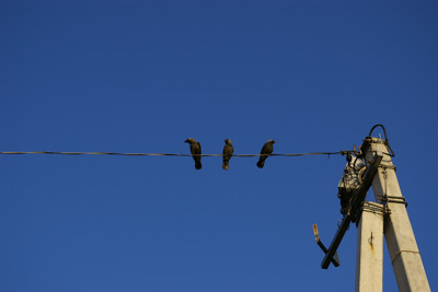 Click here to view at full resolution.