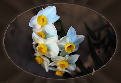 Click here to view at full resolution.