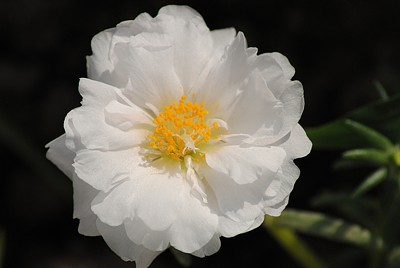 Click here to view at full resolution.