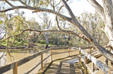 Moama Boardwalk by flanno2610, photography->bridges gallery