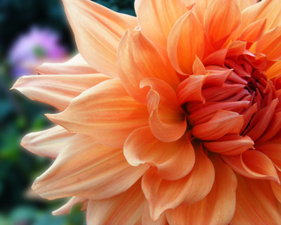 Click here to view at full resolution.