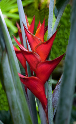 Click here to view at full resolution.