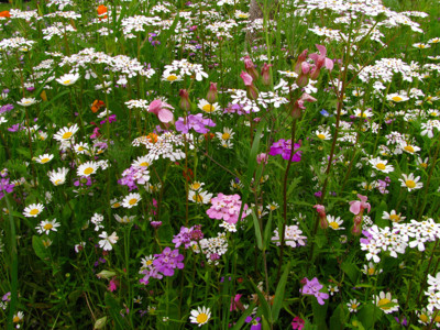 Click here to view at full resolution.