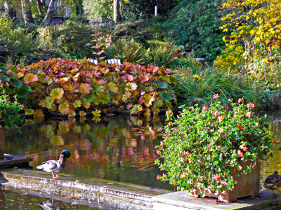 Click here to view at full resolution.