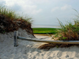 path to cape cod bay by solita17, Photography->Shorelines gallery