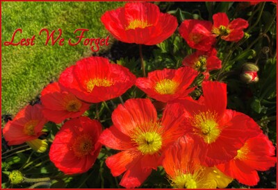 Click here to view at full resolution.