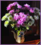 Love in a teapot by LynEve, photography->flowers gallery