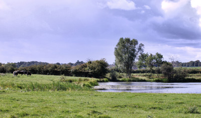 Click here to view at full resolution.