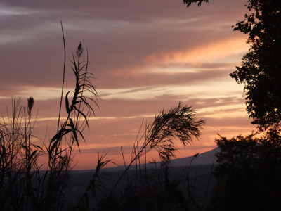 Click here to view at full resolution.