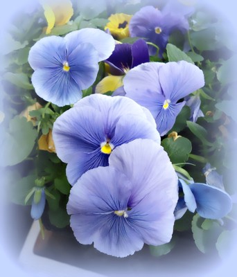 Click here to view at full resolution.