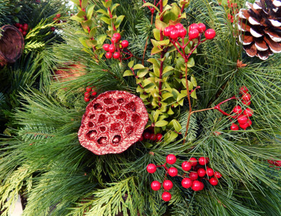 Click here to view at full resolution.