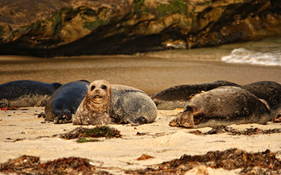 Click here to view at full resolution.
