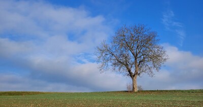 Click here to view at full resolution.