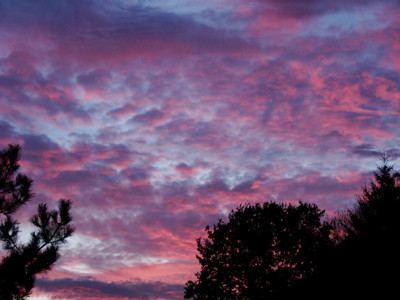 Click here to view at full resolution.