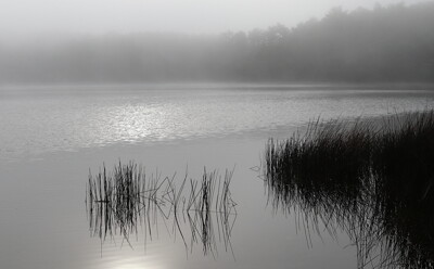 Click here to view at full resolution.
