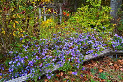 Click here to view at full resolution.