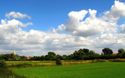 Click here to view at full resolution.