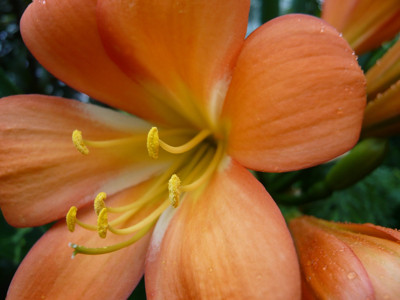 Click here to view at full resolution.