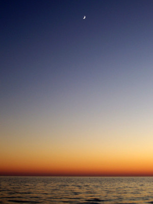 Click here to view at full resolution.