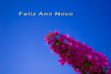 Feliz  Ano  Novo by ovar2008, Caedes->Cards gallery