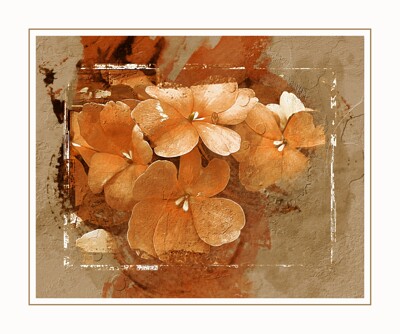 Click here to view at full resolution.