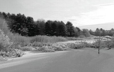 Click here to view at full resolution.