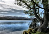 Lake Alexandrina View by LynEve, photography->landscape gallery