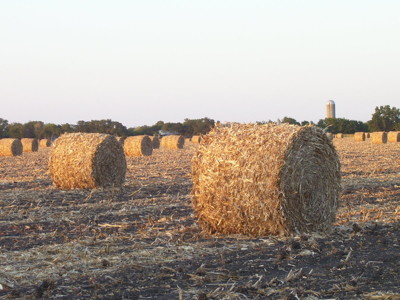 Click here to view at full resolution.