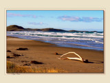 Winter Beach by LynEve, Photography->Shorelines gallery