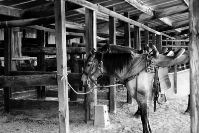 Click here to view at full resolution.