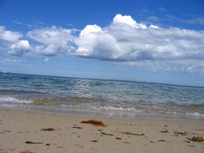 Click here to view at full resolution.