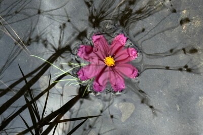 Click here to view at full resolution.