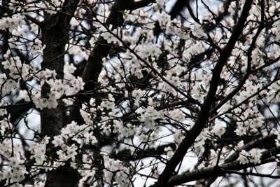 Click here to view at full resolution.