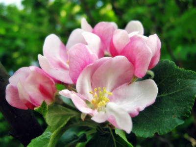 Click here to view at full resolution.