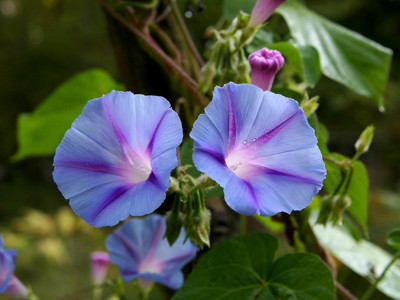 Click here to view at full resolution.