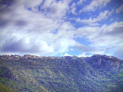 Click here to view at full resolution.