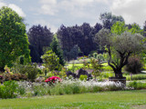 Park Scene 4 by Ramad, photography->gardens gallery