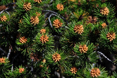 Click here to view at full resolution.