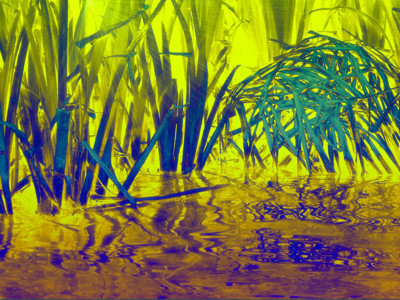 Click here to view at full resolution.