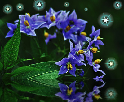 Click here to view at full resolution.
