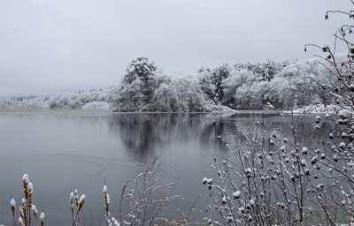 Click here to view at full resolution.