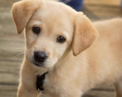 Click here to view at full resolution.