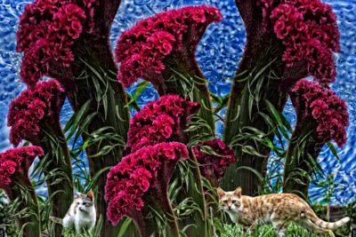 Click here to view at full resolution.