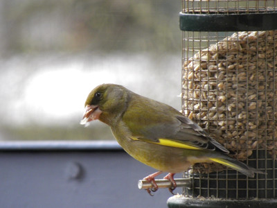 Click here to view at full resolution.