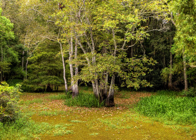 Click here to view at full resolution.
